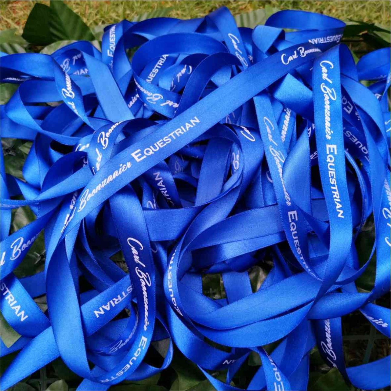 Ribbon - 25mm Thermal printed